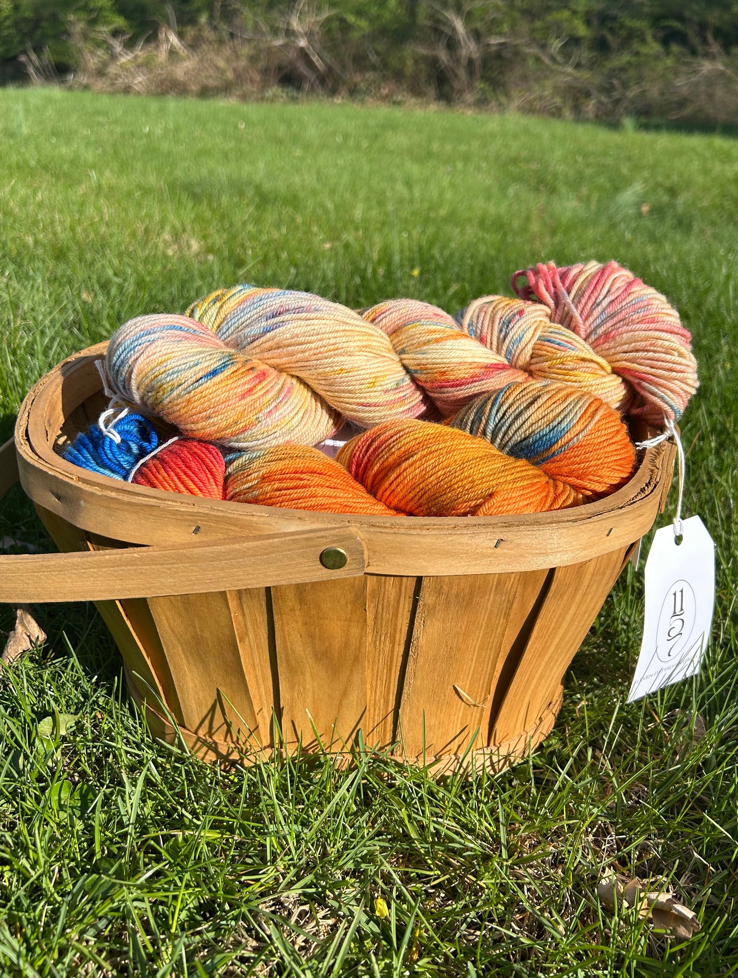 Wallenpaupack DK Hand-dyed Yarn