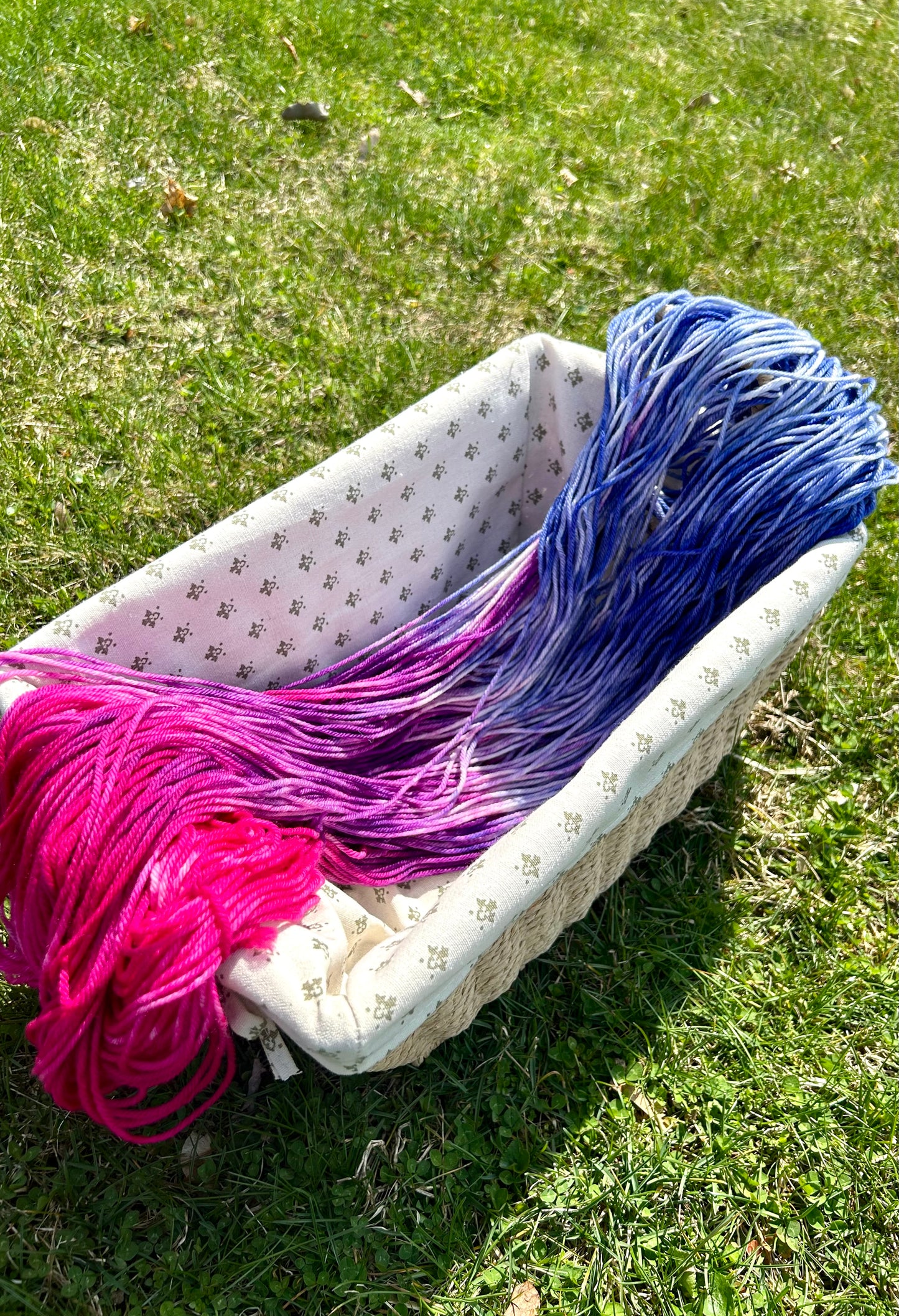Hydrenga Worsted Hand-dyed Yarn