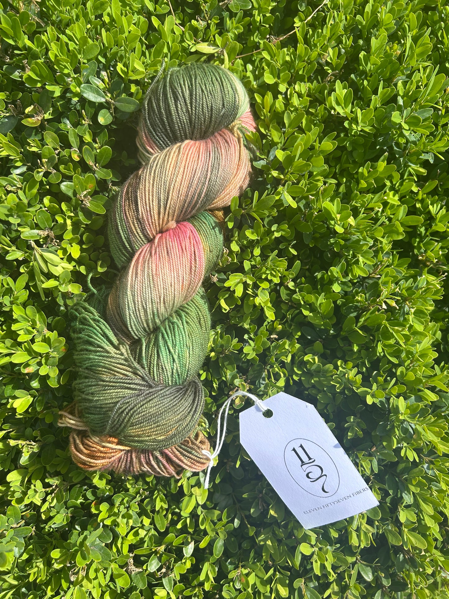 Swamp Princess | Sock Weight | 100g