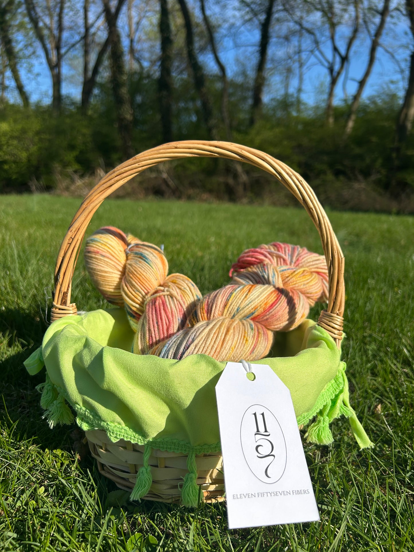 Wallenpaupack DK Hand-dyed Yarn