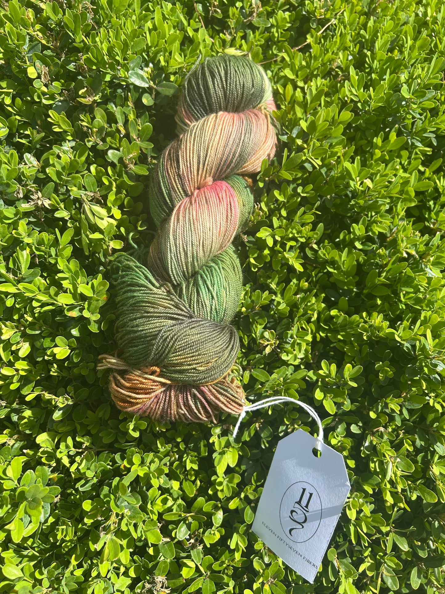 Swamp Princess | Sock Weight | 100g