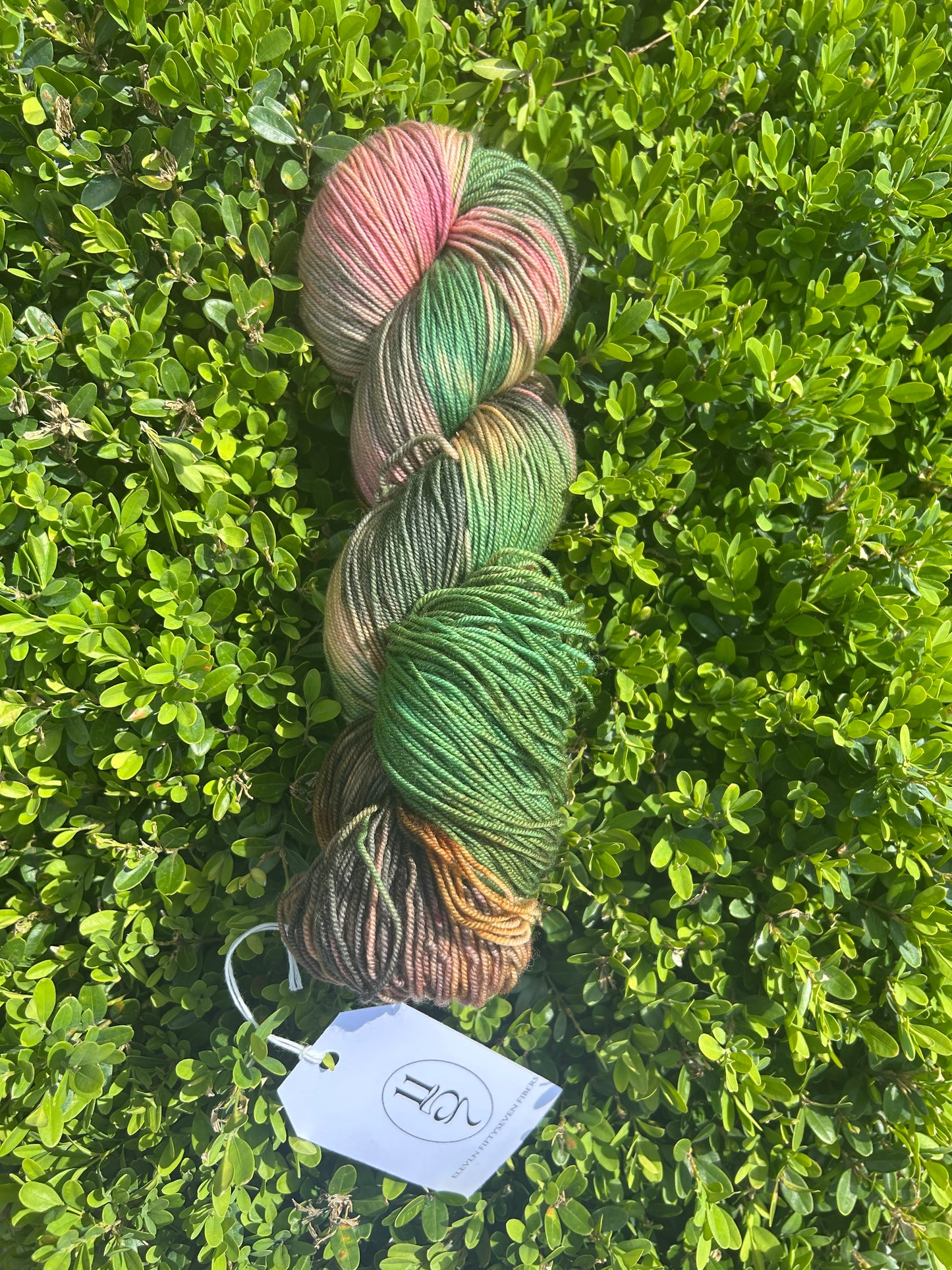 Swamp Princess | Sock Weight | 100g