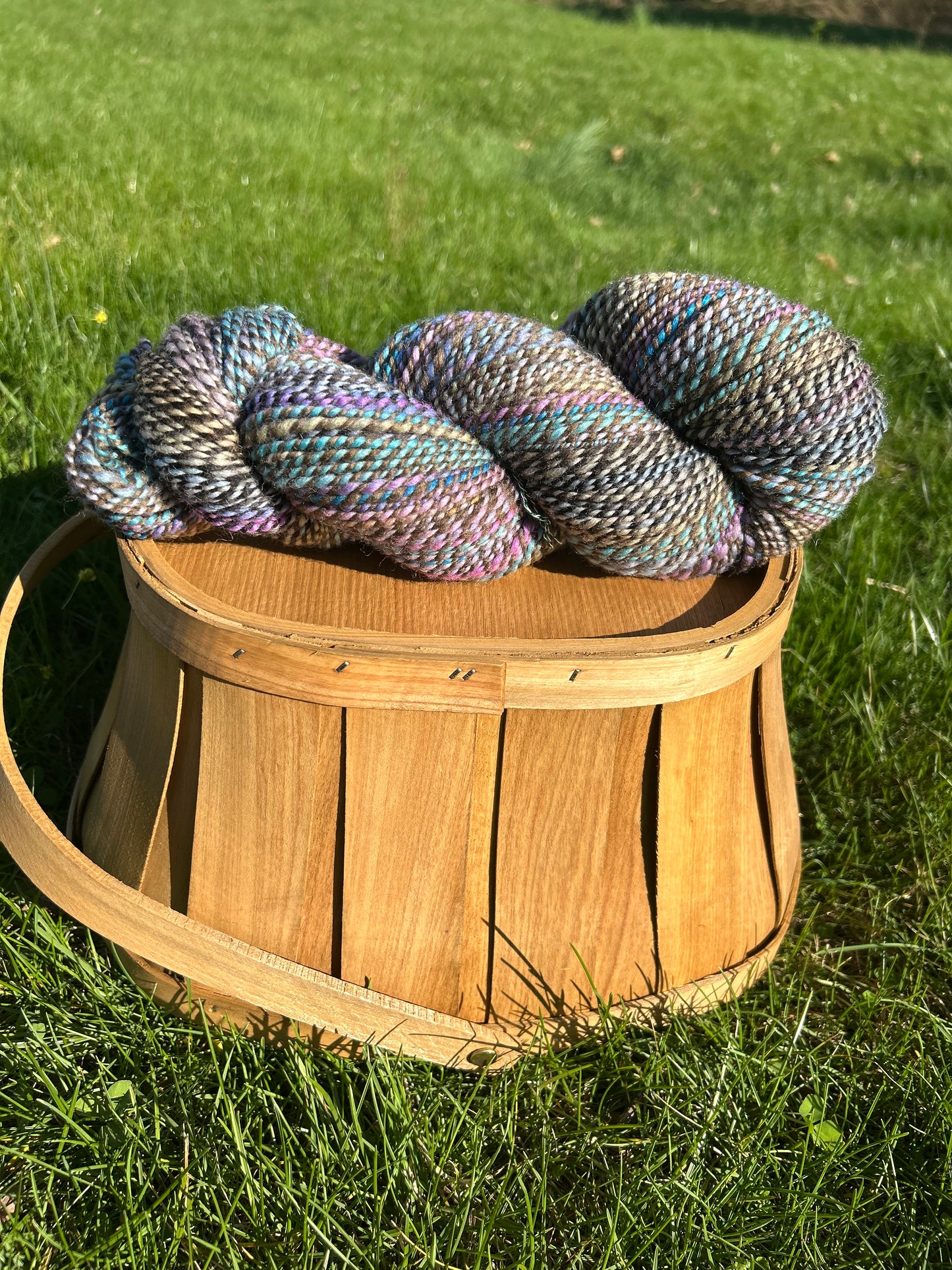 Hand Spun Yarn | Roller Rink | 100g Hank