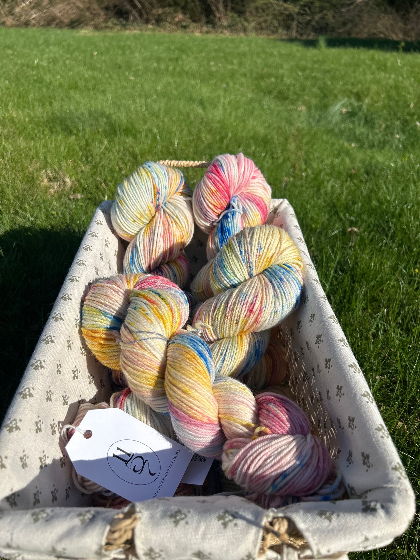 Ice Cream Cake | Hand Dyed Wool Yarn DK Weight