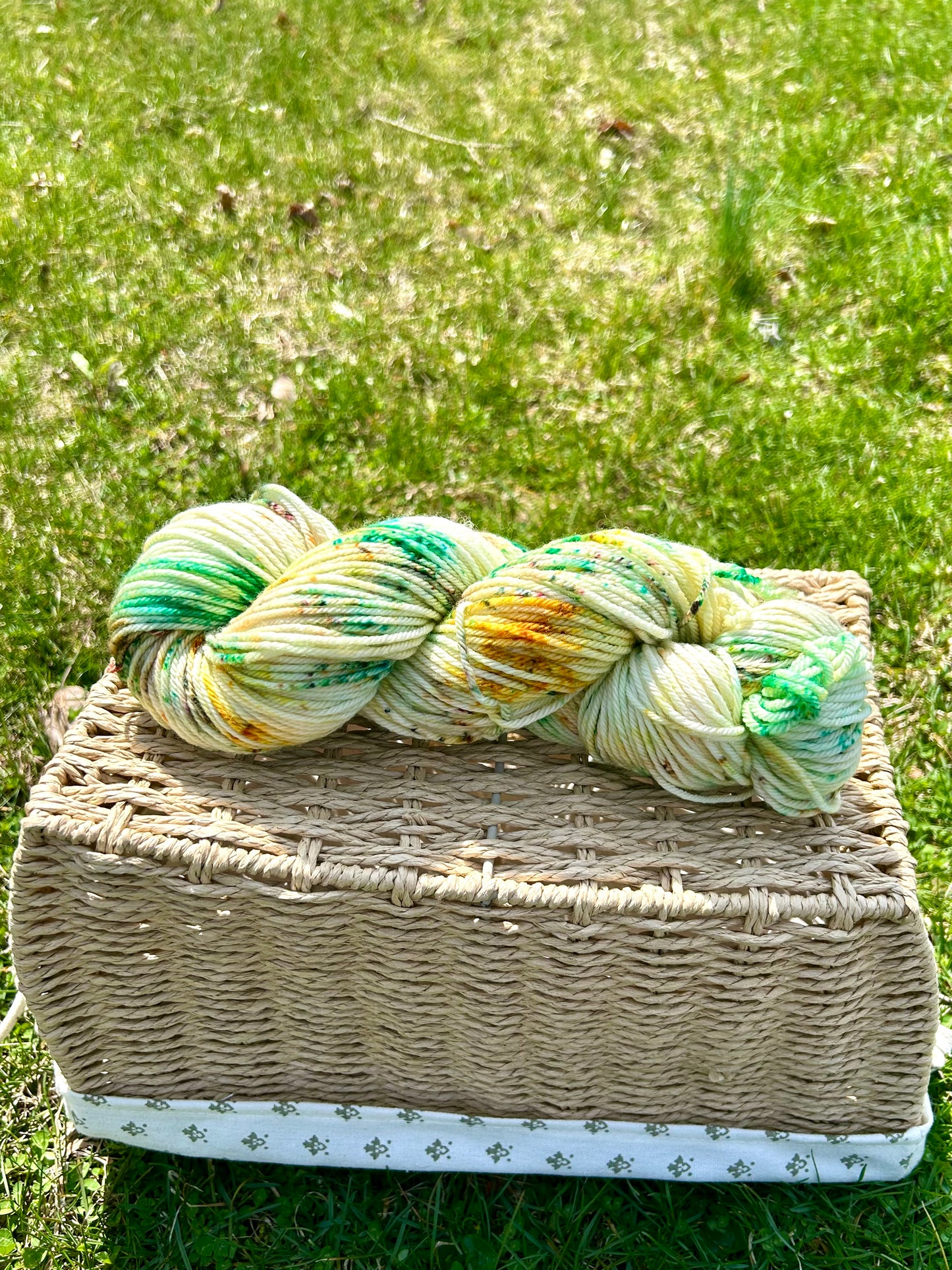 Deere Season Worsted Hand-dyed Yarn