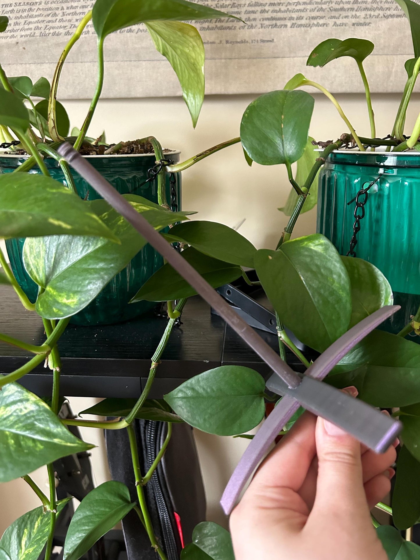 Turkish Drop Spindle