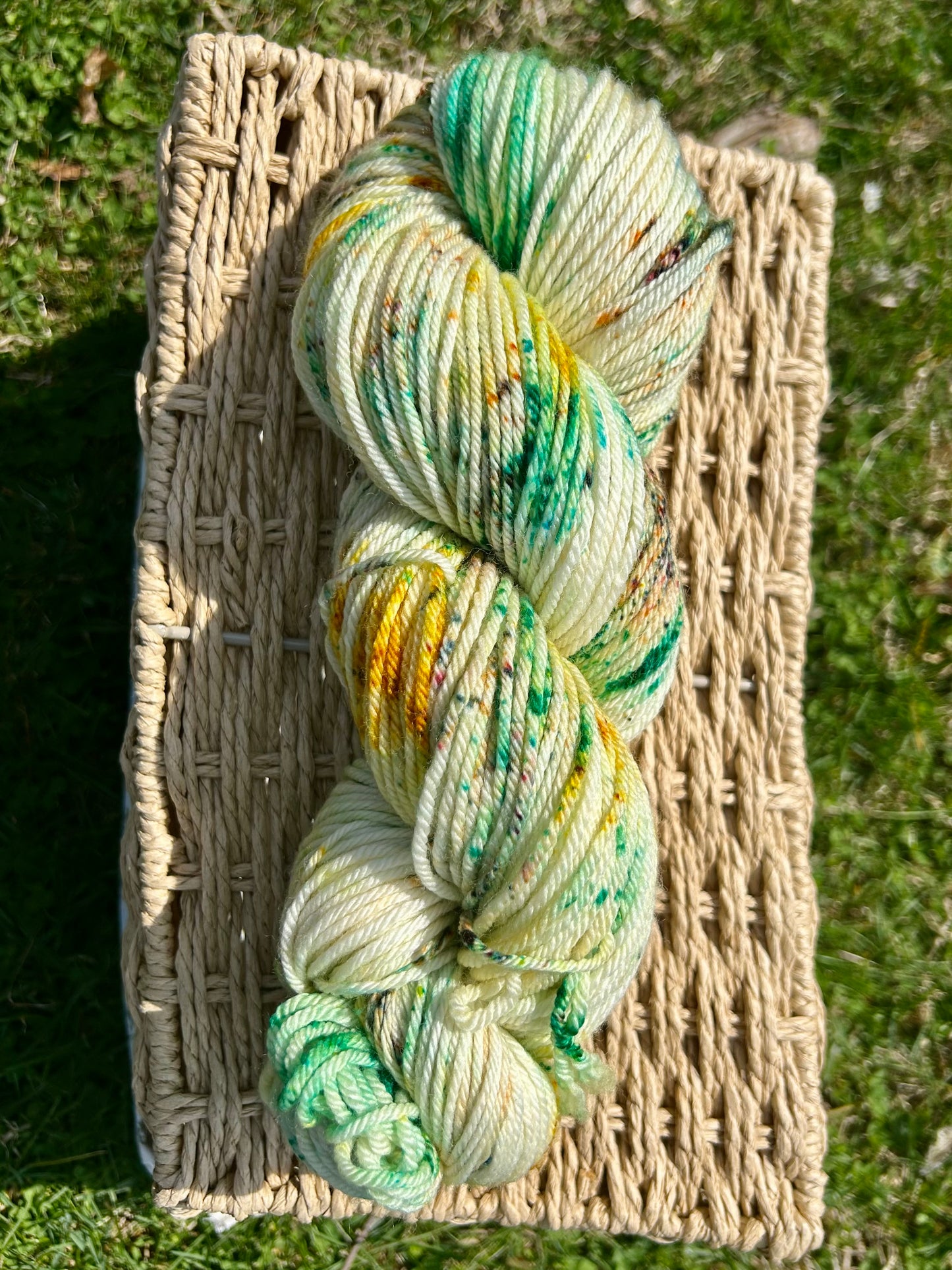 Deere Season Worsted Hand-dyed Yarn
