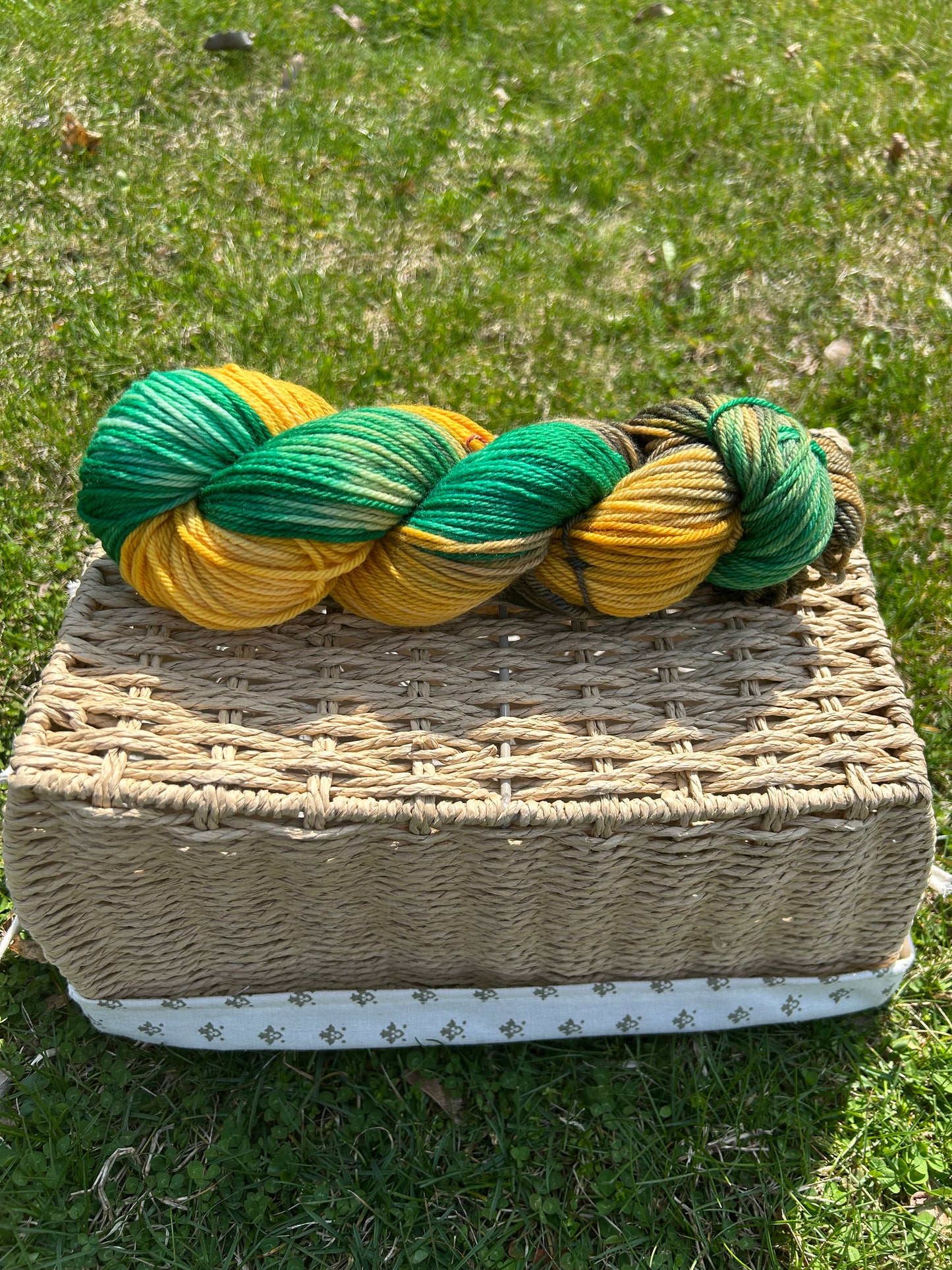 Deere Season Worsted Hand-dyed Yarn