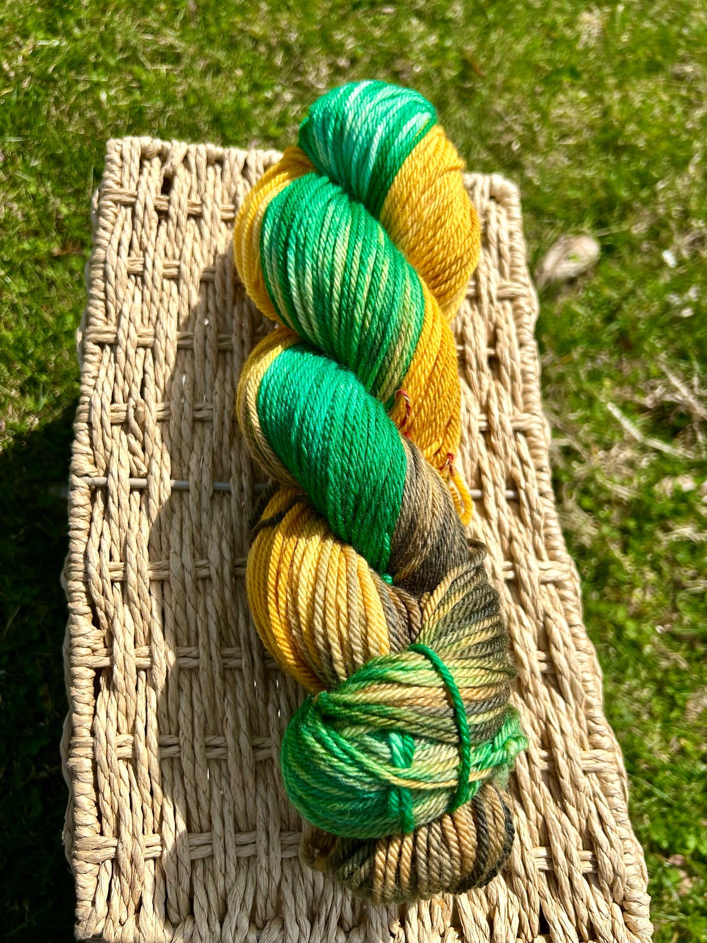 Deere Season Worsted Hand-dyed Yarn