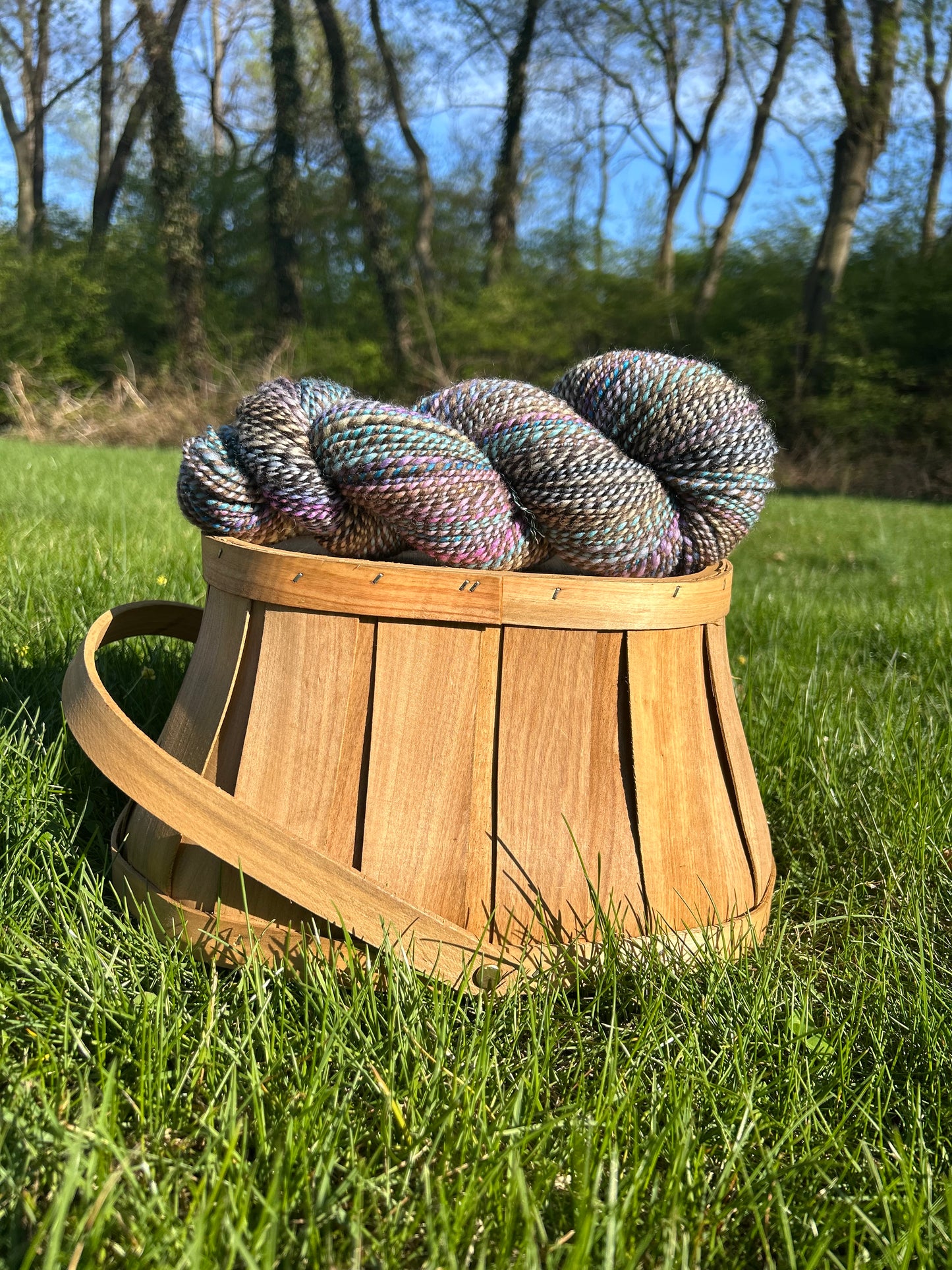 Hand Spun Yarn | Roller Rink | 100g Hank