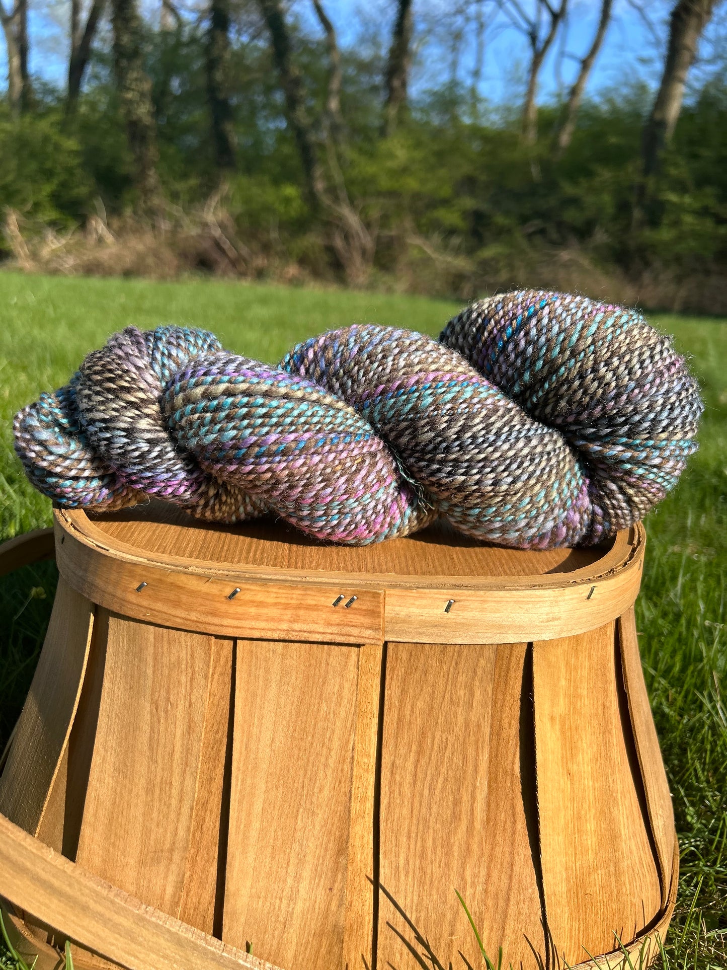 Hand Spun Yarn | Roller Rink | 100g Hank