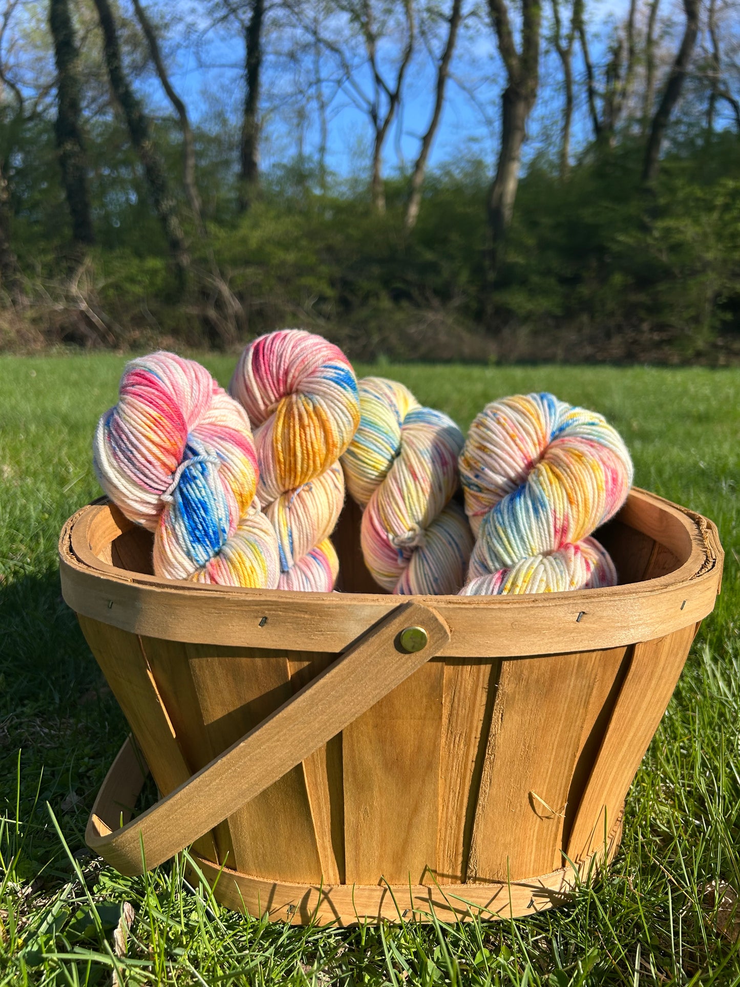 Ice Cream Cake | Hand Dyed Wool Yarn DK Weight
